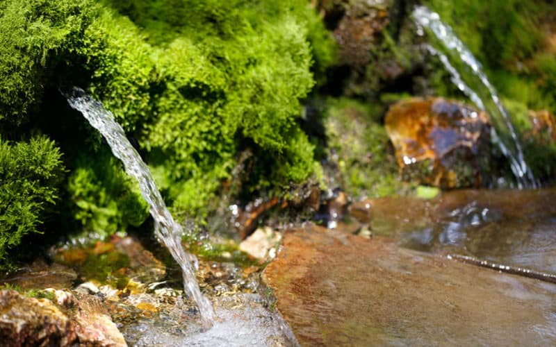 Rock Water Bachblüte Wasser aus heilkräftiger Quelle Beitrag LebensPuls