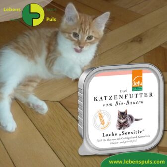 1. Premium Katzenfutter | GETREIDEFREI | BIO | Lachs | gesund