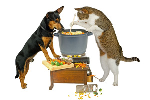 Kochen Hund und Katze