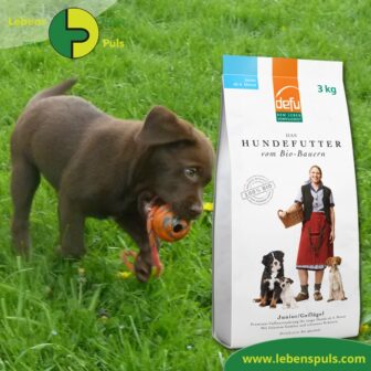 1. Premium Hundefutter | GLUTENFREI | BIO | Geflgel | gesund