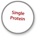 Sticker Single Protein