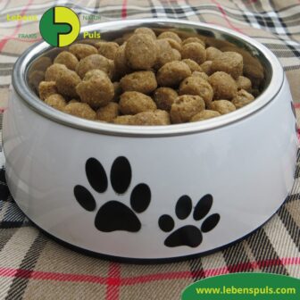 Defu Felderzeugnisse Bio Hundefutter Trockenfutter Senior Gefluegel Fressnapf