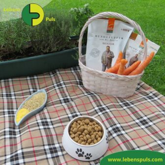 Defu Felderzeugnisse Bio Hundefutter Trockenfutter Senior Gefluegel Picknick