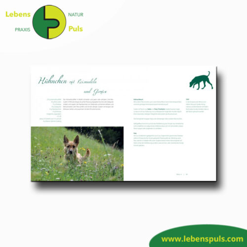 Lieblingsrezepte & Lieblings Rezepte | Futtermedicus | inspirierend | Hund 13 Buch Lieblingsrezepte und Lieblings Rezepte Futtermedicus 4