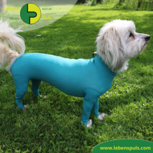 VetMedCare Tierbedarf Body mit 4 Beinen Hund Huendin 3