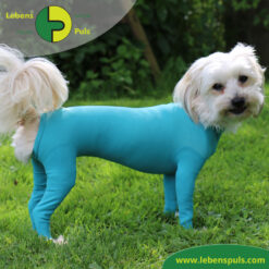 Bewertungen unserer Kunden 2 dog + cat body | Ganzkörperbody | Hündin | Female | Wunden schützen