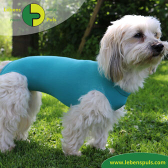 VetMedCare Tierbedarf Body Hund weiblich