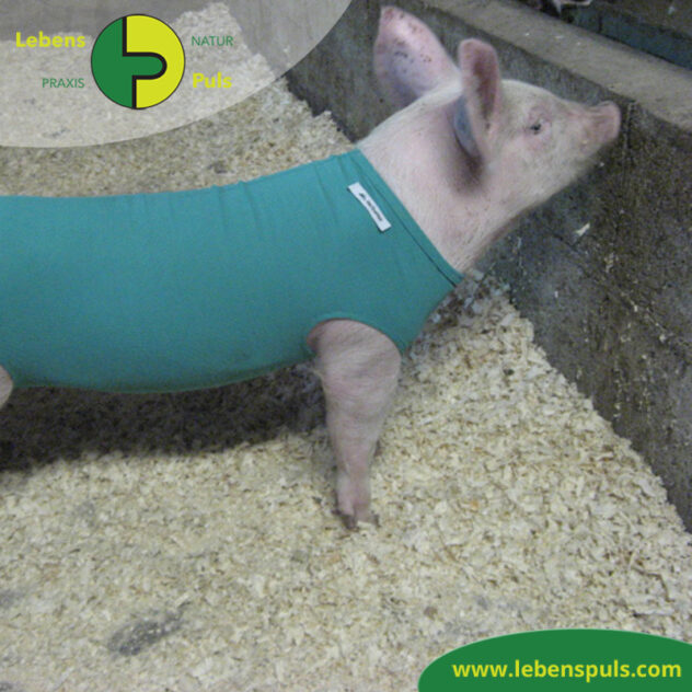 VetMedCare Tierbedarf Body Schwein
