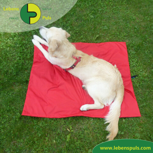 Animal Pad | Outdoor | stark isolierende Hundedecke für Unterwegs 11 VetMedCare Tierbedarf Animal Pad 1