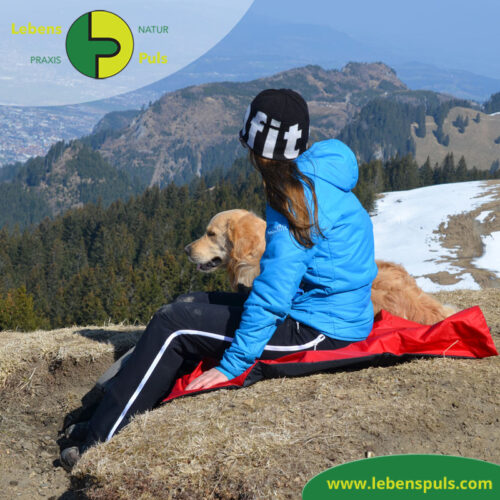 Animal Pad | Outdoor | stark isolierende Hundedecke für Unterwegs 12 VetMedCare Tierbedarf Animal Pad 2