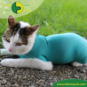 VetMedCare Tierbedarf Cat Body 1