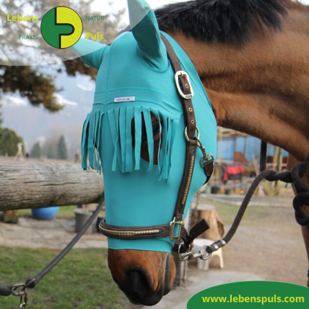 VetMedCare Tierbedarf Pferde Fliegenmaske mit Stirnfransen, Insektenschutz für Pferde
