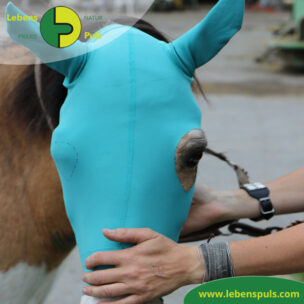 VetMedCare Tierbedarf Pferde Kopfmaske ohne Augenausschnitt, Wundschutz für Pferde