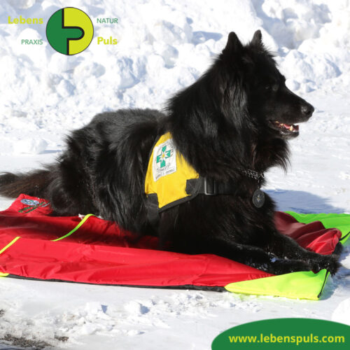 Safety Bag | Outdoor | extrem isolierende Hundedecke und Schlafsack 1 VetMedCare Tierbedarf Safety Bag