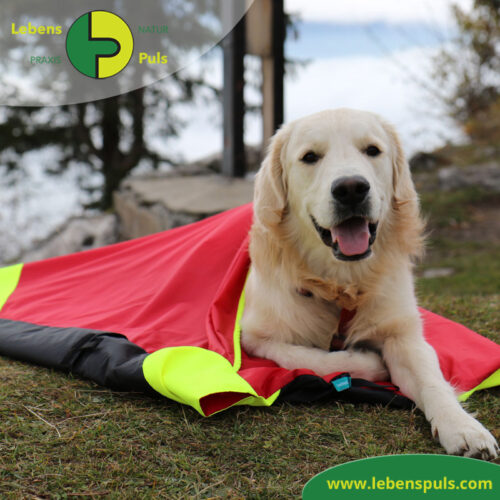 Safety Bag | Outdoor | extrem isolierende Hundedecke und Schlafsack 9 VetMedCare Tierbedarf Safety Bag 1