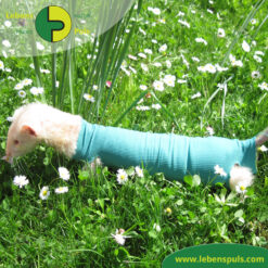 Bewertungen unserer Kunden 23 Safety Tube | Beinling | Strumpf | Wunden schützen | statt Mullbinde, Verband, Pflaster | Hamster, Hase, Kleintiere