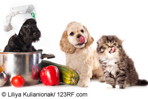 Hund und Katze kochen Beitrag LebensPuls