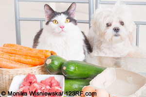Katze und Hund vor Lebensmitteln Beitrag LebensPuls