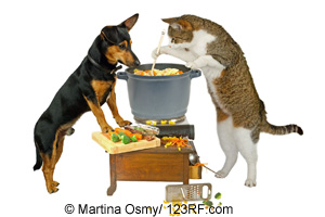 Kochen Hund und Katze Beitrag LebensPuls