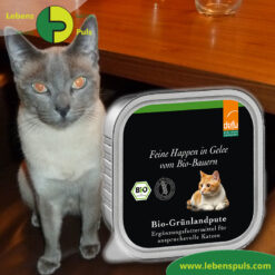 BIO Katzen Nassfutter: BIO Grünland Pute - Feine Happen in Gelee (defu)