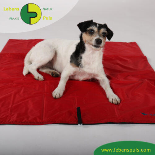 Animal Pad | Outdoor | stark isolierende Hundedecke für Unterwegs 15 VetMedCare Tierbedarf Hundedecke Animal Pad1