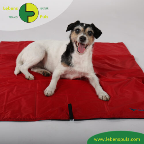 Animal Pad | Outdoor | stark isolierende Hundedecke für Unterwegs 16 VetMedCare Tierbedarf Hundedecke Animal Pad2