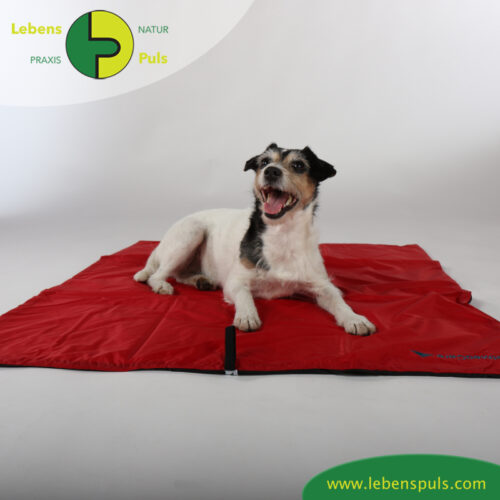 Animal Pad | Outdoor | stark isolierende Hundedecke für Unterwegs 14 VetMedCare Tierbedarf Hundedecke Animal Pad