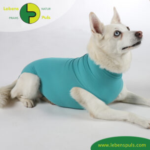 VetMedCare Tierbedarf Dog + Cat Body Huendin greenblue platz