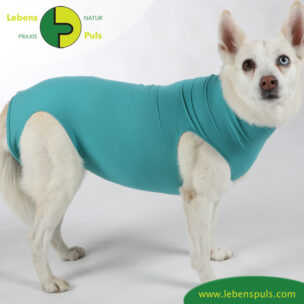 VetMedCare Tierbedarf Dog + Cat Body Huendin greenblue seitlich