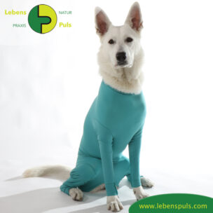 VetMedCare Tierbedarf Dog + Cat Body mit 4 Beinen Huendin greenblue sitz