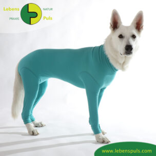 VetMedCare Tierbedarf Dog + Cat Body mit 4 Beinen Huendin greenblue steh