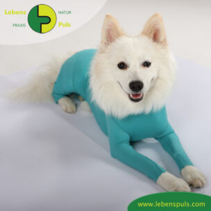 VetMedCare Tierbedarf Dog + Cat Body mit 4 Beinen Ruede greenblue platz