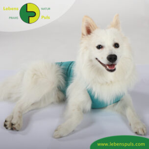 VetMedCare Tierbedarf Dog + Cat Body Ruede greenblue platz