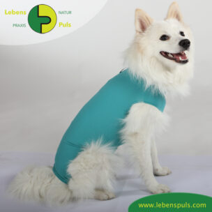 VetMedCare Tierbedarf Dog + Cat Body Ruede greenblue sitz seitlich