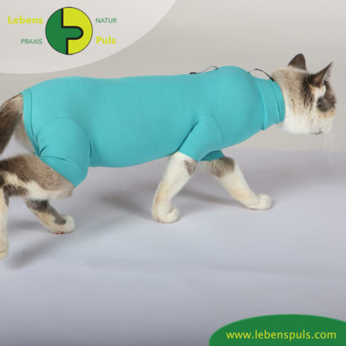 cat body für Katzen | Body mit kurzen Beinen | Wunden schützen 21 VetMedCare Tierbedarf Cat Body greenblue seitlich