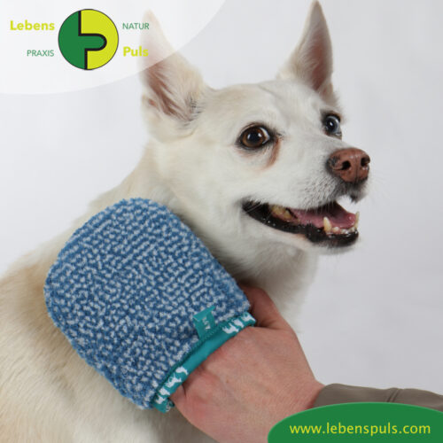 Fellpflege Handschuh | super sanfte Alternative zur BΓΌrste | Hund, Katze, Pferd, Kleintiere 11 VetMedCare Tierbedarf Hund Katze Pferd Fellpflegehandschuh klein