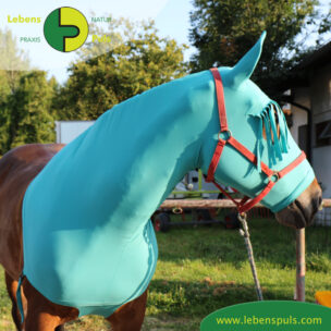 VetMedCare Tierbedarf Pferde Haube mit Stirnfransen, Insektenschutz und Wundschutz für Pferde