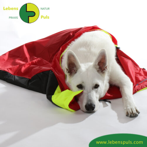 Safety Bag | Outdoor | extrem isolierende Hundedecke und Schlafsack 12 VetMedCare Tierbedarf Hundedecke Safety Bag3