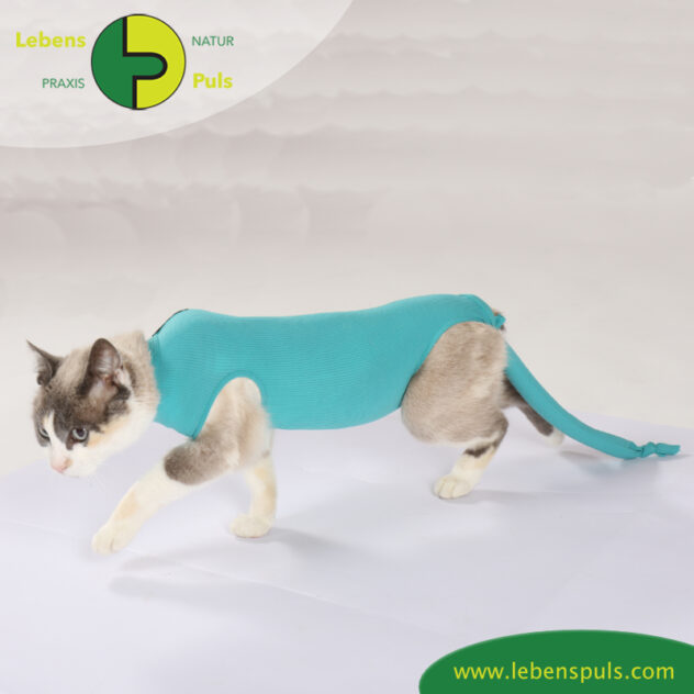 VetMedCare Tierbedarf Safety Tube Beinling Strumpf, Wundschutz Schwanzschutz für Kleintiere, Farbe grün blau