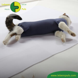 VetMedCare Tierbedarf Cat Body Bauch indigoblue