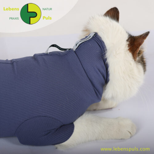 cat body für Katzen | Body mit kurzen Beinen | Wunden schützen 26 VetMedCare Tierbedarf Cat Body Hals indigoblue
