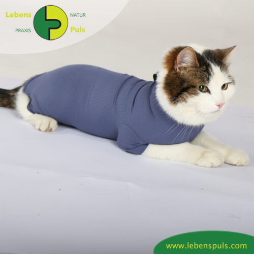 cat body für Katzen | Body mit kurzen Beinen | Wunden schützen 25 VetMedCare Tierbedarf Cat Body indigoblue