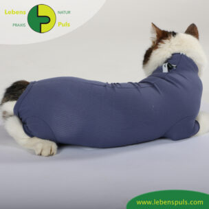 VetMedCare Tierbedarf Cat Body Ruecken indigoblue