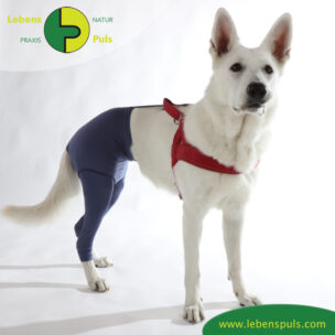 VetMedCare Tierbedarf dog Safety Pants steh Hund Sicherheitshose, Hundewindel, Inkontinenz, Läufigkeit, Wunden schützen, Farbe indigo
