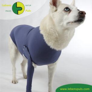 VetMedCare Tierbedarf Safety Tube Beinling Strumpf, Wundschutz für Kleintiere, Farbe indigo