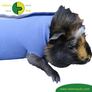 VetMedCare Tierbedarf Safety Tube Beinling Strumpf, Wundschutz für Kleintiere, Farbe indigo