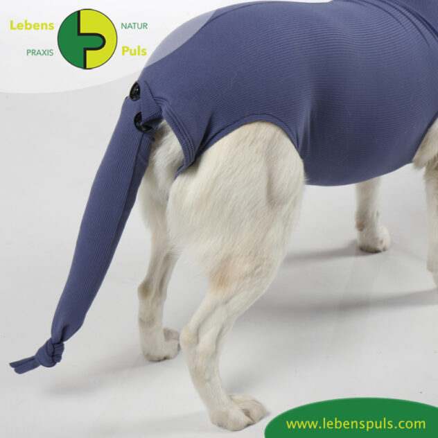 VetMedCare Tierbedarf Safety Tube Beinling Strumpf, Wundschutz Schwanzschutz für Kleintiere, Farbe indigo