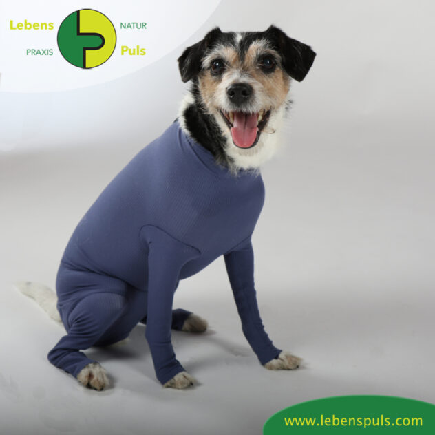 VetMedCare Tierbedarf Dog + Cat Body mit 4 Beinen Huendin indigoblue sitz