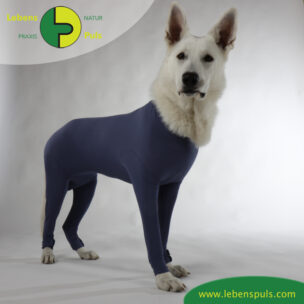 VetMedCare Tierbedarf Dog + Cat Body mit 4 Beinen Huendin indigoblue steh2