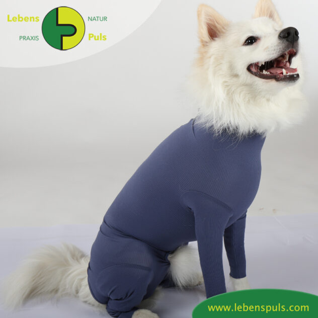 VetMedCare Tierbedarf Dog + Cat Body mit 4 Beinen Ruede indigoblue sitz seitlich